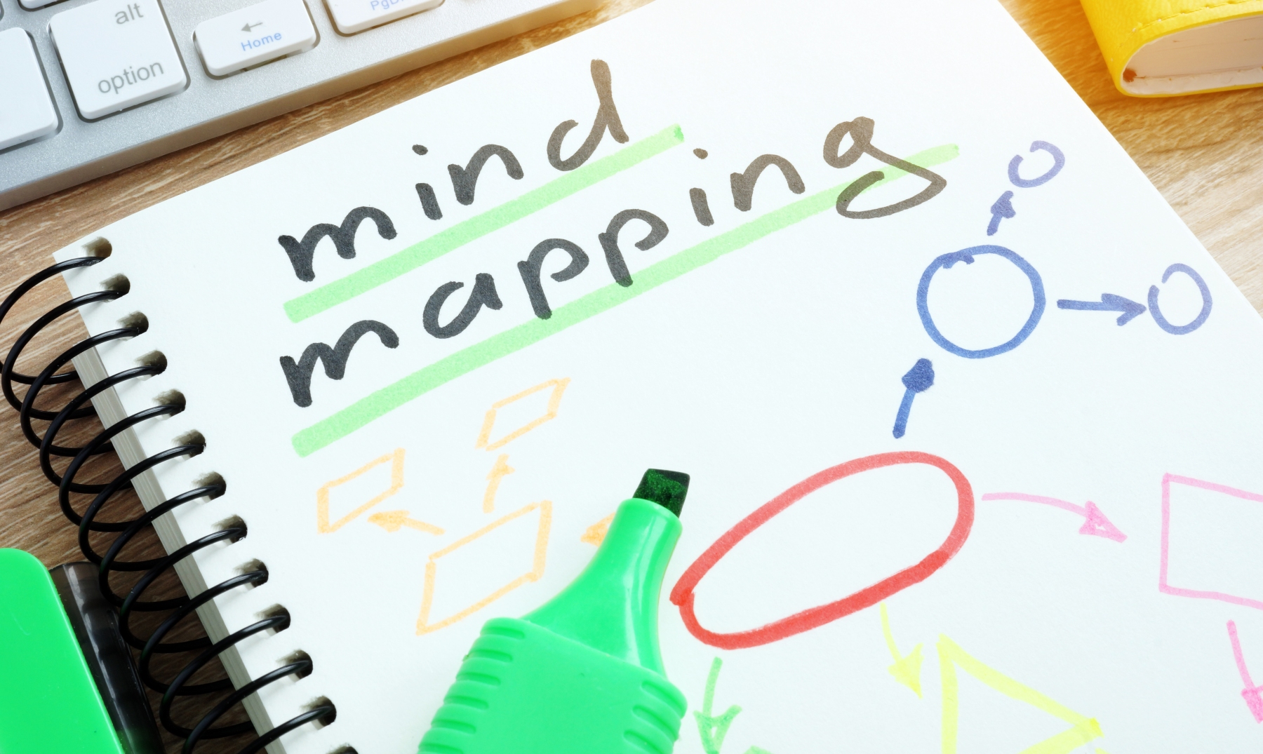 Ejemplos de mapas mentales | Conócelos y selecciona el más adecuado