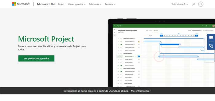Microsoft Project screenshot