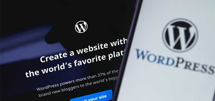 actualizar wordpress hosting
