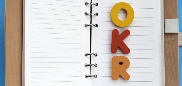 Objectives and Key Results | Que son los objetivos OKR